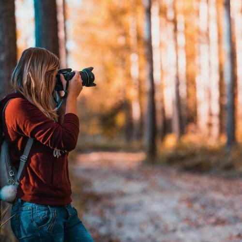 pexels-david-bartus-43782-610293